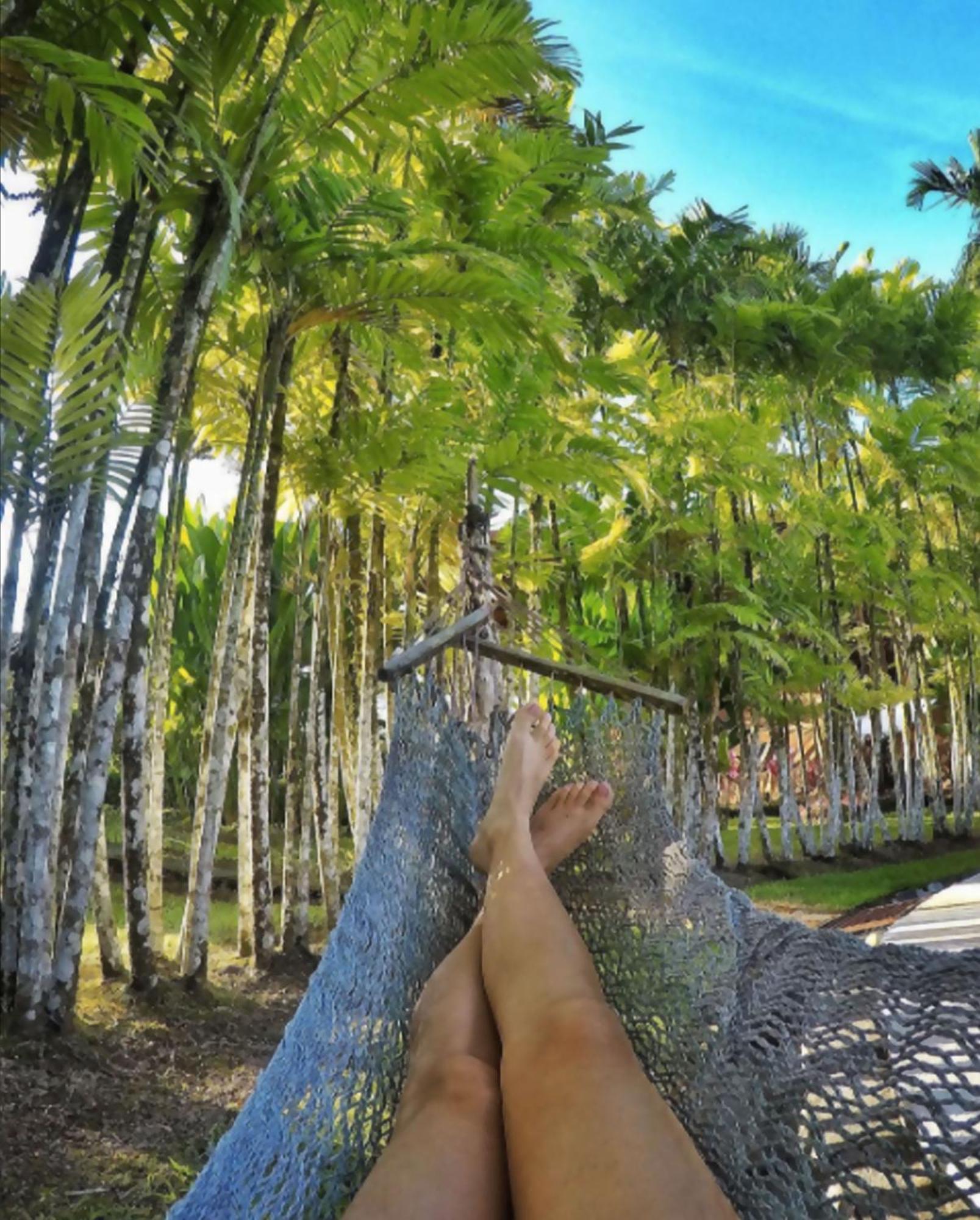 Arenal Backpackers La Fortuna